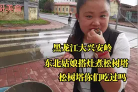 东北大兴安岭，姑娘搭灶柴火煮松塔，又叫情人果你吃过吗？