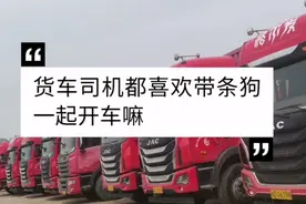 货车司机开车累的腰都直不起来了 为什么还要连累一条狗呢不明白视频封面