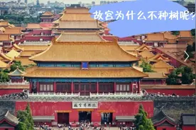 故宫三大殿为什么不见树呢视频封面