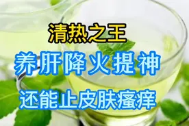 一味薄荷适合夏天泡水喝 清凉解暑解郁 外摸治疗皮肤瘙痒到处都是视频封面
