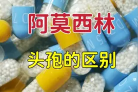 阿莫西林与头孢有什么区别？