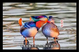 乌鲁木齐新市区又有哪些地方纳入了拆迁计划视频封面