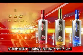 泸州老窖历史表现如何？是否值得长期持有？视频封面