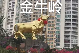 金牛岭视频封面