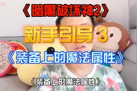 《暗黑破坏神2》装备上的各种魔法属性介绍「物理属性」新手引导3