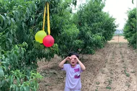 妈妈我的气球飞到树上拿不下来了视频封面