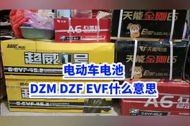 电动车电池DZM DZF EVF什么意思？视频封面