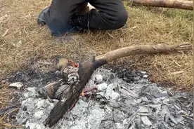 说来你又不来，为的是哪一桩，害的老坎等半天！