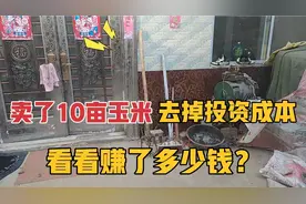 2022年我家种了10亩地玉米，卖了以后，去掉本钱看看赚了多少钱？视频封面