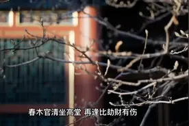 春夏秋冬，金木水火土，四季五行算命金口诀视频封面