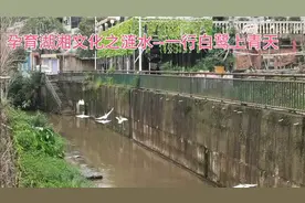 孕育湖湘文化之涟水--孙水一行白鹭上青天视频封面