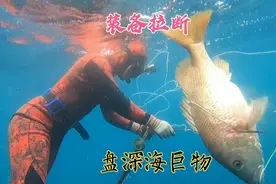 三人合下20米海底盘巨物，大鱼成群扎堆，装备大力马都被拉断！视频封面