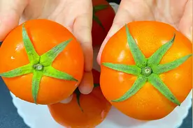 买西红柿挑5片叶还是6片叶的？菜农教我一个小技巧，真的太实用了