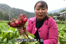 泡菜酸了该怎么处理，来看幺妹是怎么做才不叫泡菜酸的视频封面