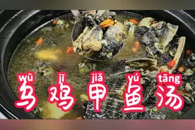 乌鸡甲鱼汤，营养大补，在家中轻松复制，赶快去看看吧