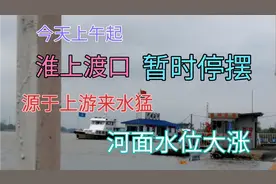 淮南淮上渡口  今天暂时停摆！视频封面