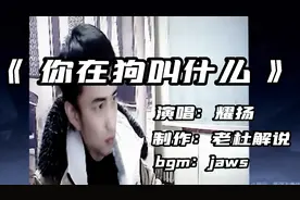 《 你在狗叫什么 》耀扬鬼畜Rap说唱