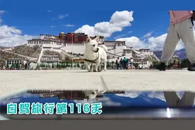 进入布达拉宫广场的注意事项。希望可以帮助到你们！视频封面