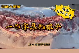 手镯本地大猪王六百多斤，肥膘一巴掌厚真胖，开张就弄个二百五。