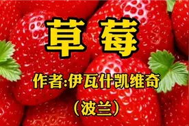 《草莓》作者，伊瓦什凯维奇视频封面