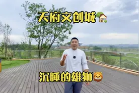 天府新区这个地方的发展，未来它不亚于兴隆湖和秦皇寺的发展视频封面