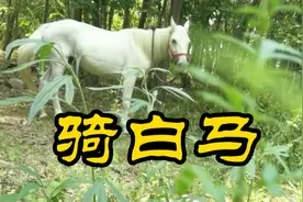 没马鞍骑大白马，在丛林能不能骑？