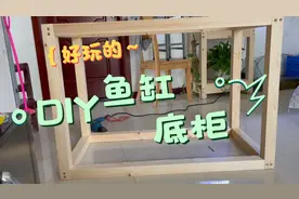 鱼缸底柜动辄上千块，DIY一个，立省几百元，比拼夕夕还给给力视频封面