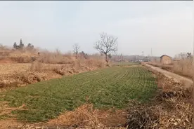 河南豫西被拆迁的村庄视频封面