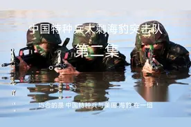 中国特种兵军演战胜美国海豹突击队，第二集视频封面