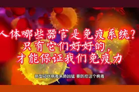 人体哪些器官是免疫系统？只有它们好好的，才能保证我们免疫力！视频封面