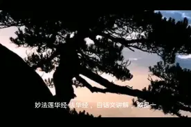 《妙法莲华经 法华经》白话文讲解《叙品一》第九季