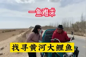 黄河大鲤鱼一鱼难求，妹子为找纯正黄河大鲤鱼费劲心思视频封面