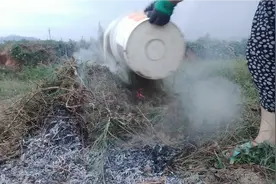 田间杂草这样处理好处多，既防虫又能当肥料，用来种菜特别好