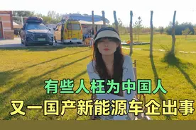 国内一新能源车企出事，华系车到底还敢不敢买？这些人枉为中国人视频封面