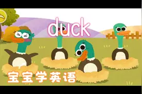 宝宝学英语，鸭子（duck），我们一起来学习英语单词“duck”