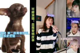 可楼演唱：血腥爱情故事，原唱：张惠妹#