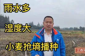 田间湿度大，抢墒播种4条办法可用，看看老农的智慧视频封面