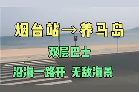 烟台站→养马岛，双层巴士沿滨海路走，无敌海景、沙滩、樱花大道