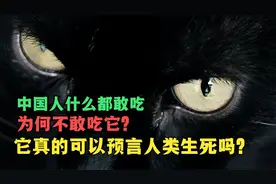 中国人为什么不吃猫肉？原来还有这么多不为人知的秘密！视频封面