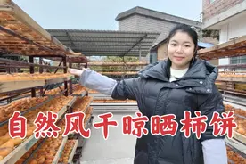 小青晒柿饼忙到晚上十二点，纯天然风干晾晒，看到这场景很欣慰视频封面
