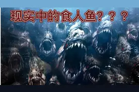 现实的食人鱼真的和电影里说的一样吗？老外用生命做实验来证明！视频封面