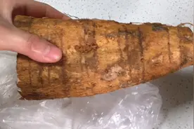 广东老火汤是不分季节的，煲一锅粉葛猪骨汤，健脾祛湿，暖胃！视频封面