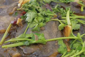 家常红焖碟鱼头，出锅肉质鲜美又入味，大人孩子都爱吃