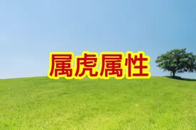 每个生肖不同年份，都有不同属性，一起来看看虎的不同年份的属性视频封面