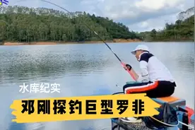 邓刚广东探钓巨型罗非，全是大板子，教你钓罗非技巧干货