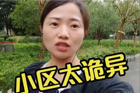 沪漂姑娘租的小区太诡异，狂风暴雨时衣服就失踪不见了，我该咋办视频封面