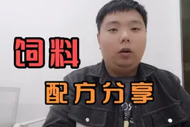 养猪不知道喂什么饲料好，分享给你猪不同阶段常用的饲料配方。视频封面