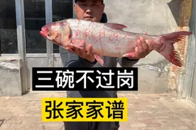 山东张家20辈的家谱，看看咱们能续到一块吗，猛吃三碗酒三碗鱼视频封面