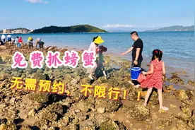 秘密赶海基地，深圳自驾不到20分钟！免费抓螃蟹挖贝壳，无需预约