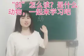 “鸱”怎么读？它是一种什么鸟？一起来学习吧